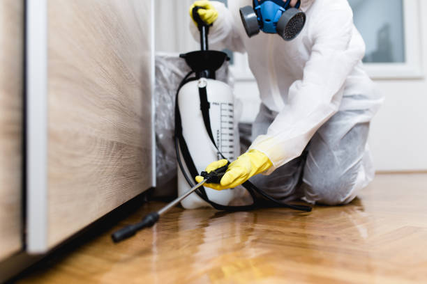 Best Rat Extermination Near Me  in West Columbia, TX