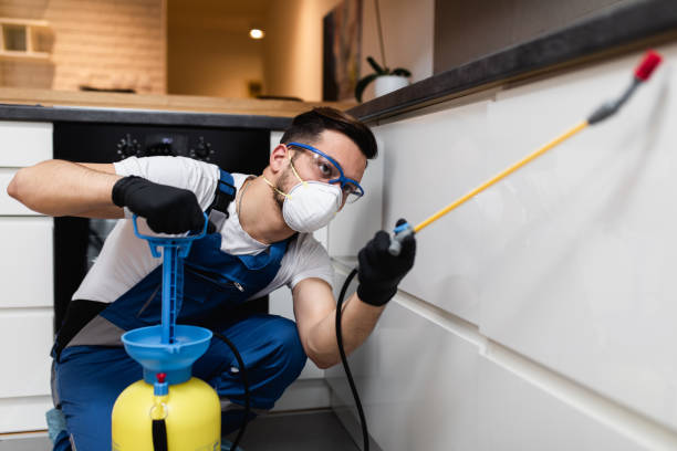 Best Emergency Pest Control  in West Columbia, TX
