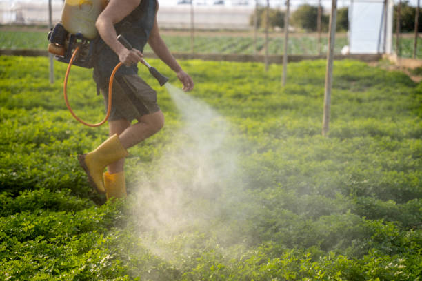 Best Pest Control for Restaurants  in West Columbia, TX