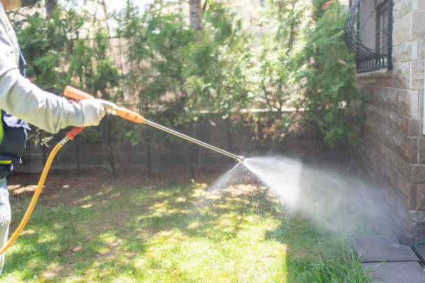 Best Exterminator Services  in West Columbia, TX