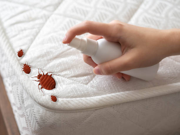 Professional Pest Control in West Columbia, TX