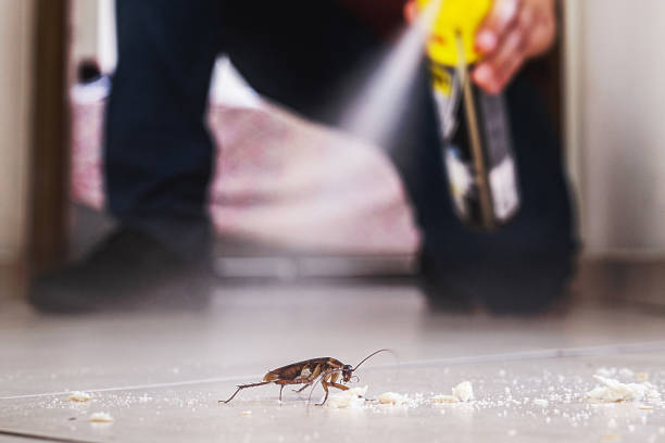 Pest Control Cost in West Columbia, TX